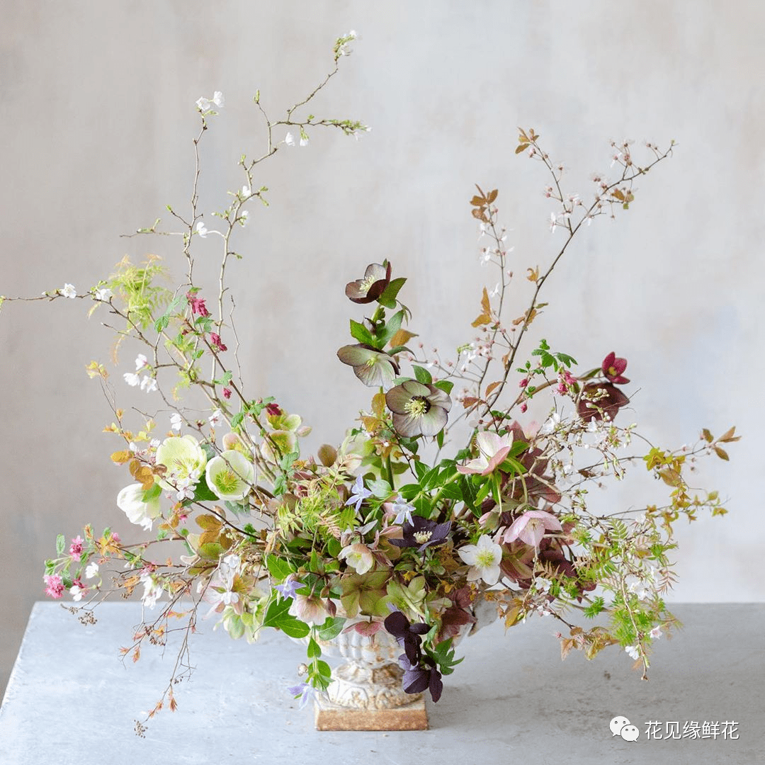 诗人笔下的花